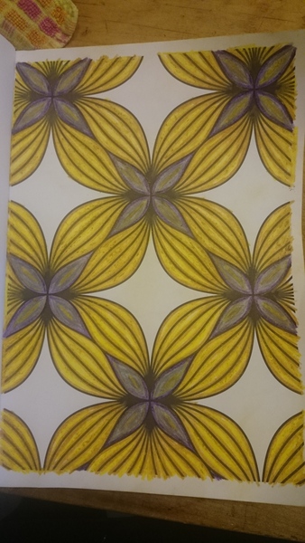 Adult colouring in books