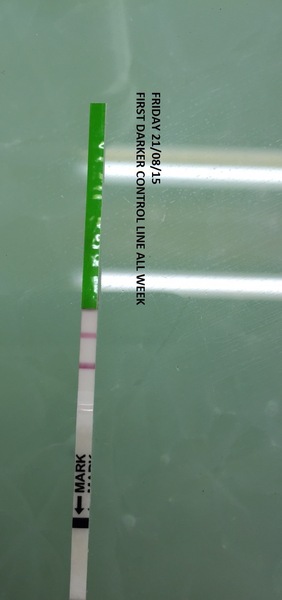 Need advice: ttc: Whats happening with my ovulation, please help.