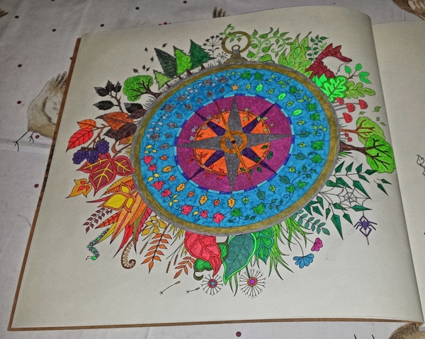 Adult colouring in books