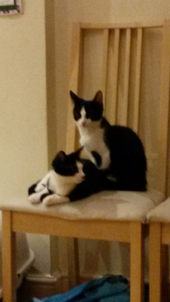 Our new arrivals are due any minute <squeals>