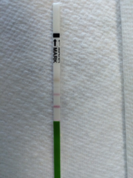 Positive or negative OPK??