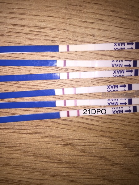 no jinxing for us - #6 posifrickintive thread for those pregnant after miscarriage