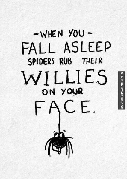 to kill all the spiders?