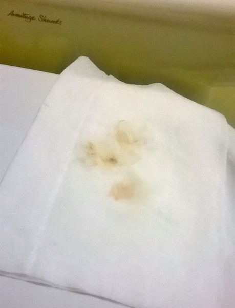 TTC after MC (#7) - fx for better times ahead