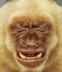 AIBU re this odd request from neighbours?