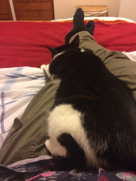I can't move or I'll upset her