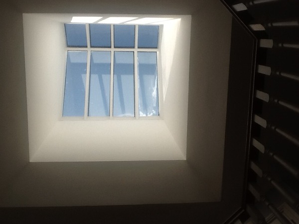 How can I protect my skylight from magpies?