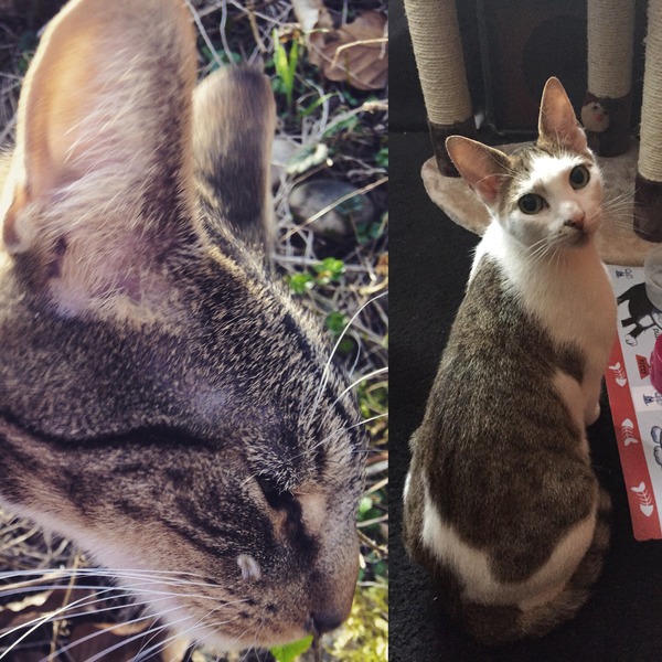 Swagger Inn Thread 107 : Wenches All on a Summer Holiday