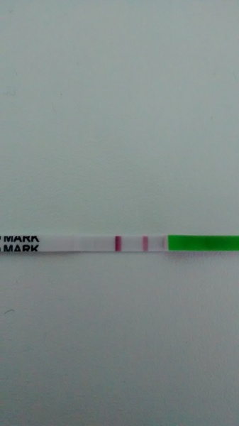 We're peeing over pineapples because we ran out of sticks, but staring at lines is how we get our kicks! Fred 50 was lucky with 6 BFPs, and lots of grads are about to do babies! We are Just Shaggin 51