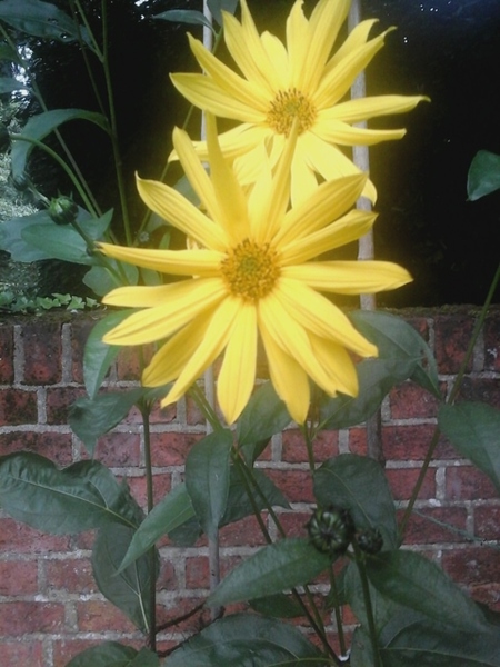 Can anyone identify this,please?