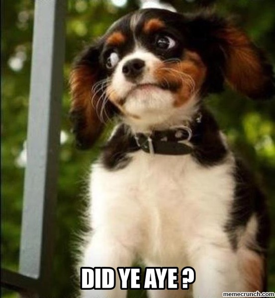 You know your Scottish when....