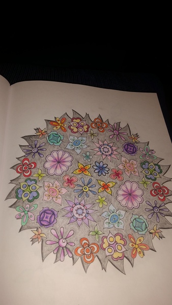 Adult colouring in books