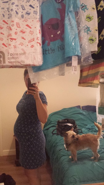 Jan 2016 #8 Enjoying second trimester and 20 week scans