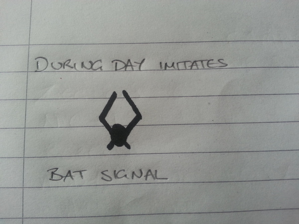 to kill all the spiders?