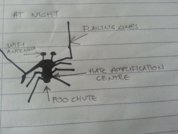 to kill all the spiders?