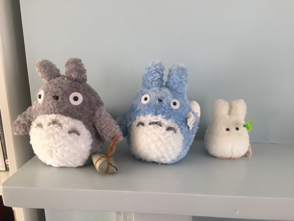 Shady characters - a permanent home for shade garden suggestions!