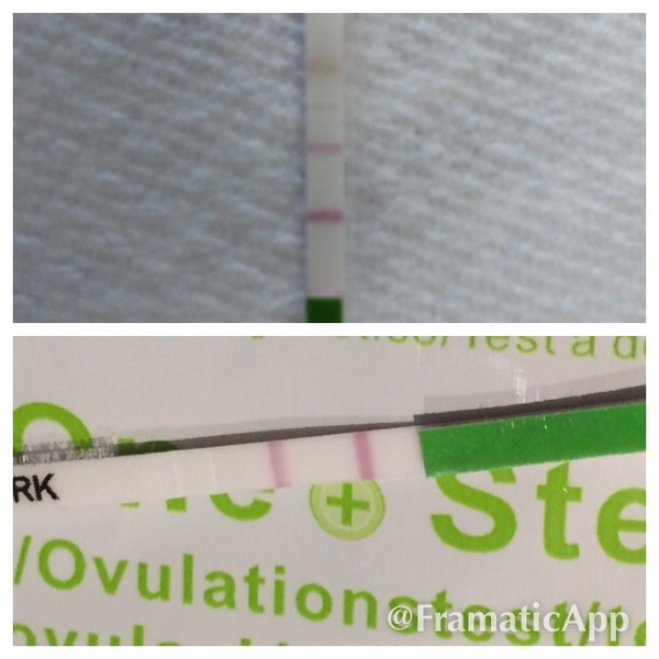 Positive or negative OPK??