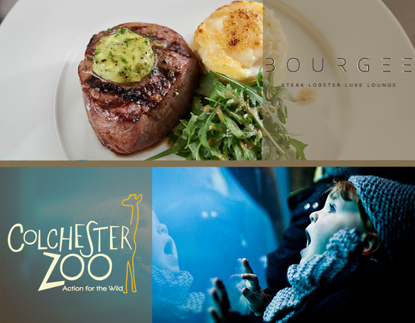 Kids go FREE at Colchester Zoo!*