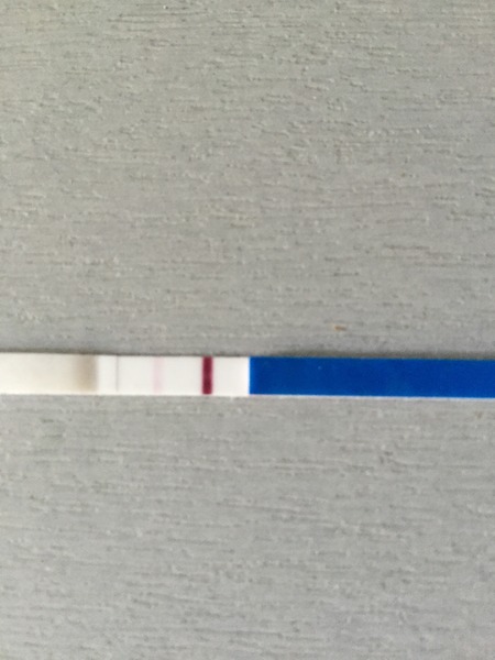 Recurrent Miscarriage Support Thread 29 - Support for Tests, Treatments and Trying Again