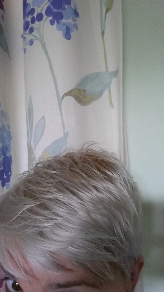 For those of us going grey
