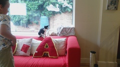 Our new arrivals are due any minute <squeals>