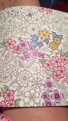 Adult colouring in books