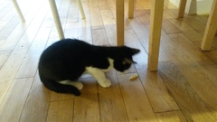 Our new arrivals are due any minute <squeals>