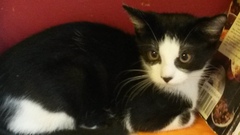 Our new arrivals are due any minute <squeals>