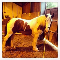 November 2014: The one that needs baby-proofing!