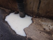 Smelly drain problem - who do I call / what do I need to do!