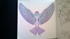 Adult colouring in books