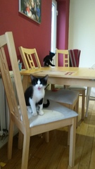 Our new arrivals are due any minute <squeals>