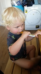 Little Dish feedback thread - £300 John Lewis voucher to be won for feedback! NOW CLOSED