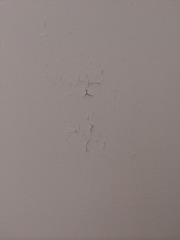 Can anyone advise how to paint over old paint? (PIGLET JOHN klaxon)