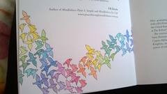 Adult colouring in books