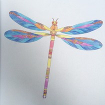 Adult colouring in books