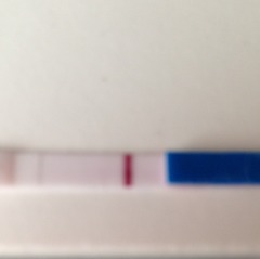 Photo of test.. Peoples thoughts?