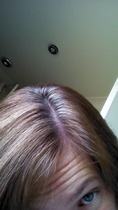 For those of us going grey