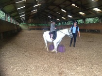 The cutest little jockey