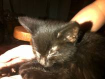 Help me name the new addition!