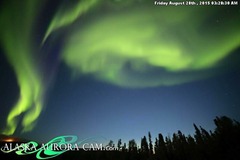 Armchair aurora watching