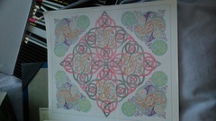 Adult colouring in books