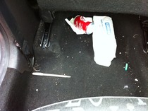 Just Mumming Viroids 6 - some of us have time for JSing, some don't, but we're all grad grads!