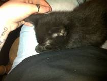 Help me name the new addition!