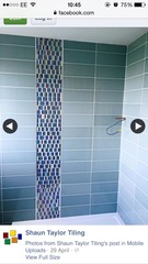 Bathroom tiles. Brick pattern or Linea?