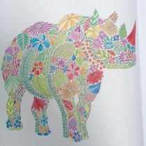 Adult colouring in books