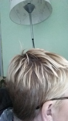 For those of us going grey