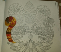 Adult colouring in books