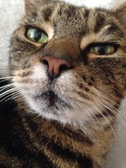 DH committed suicide on Saturday, rang Samaritans, not helped.