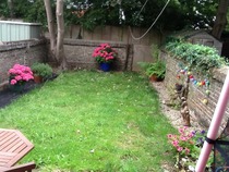 Rented property and low cost garden maintenance advice needed!